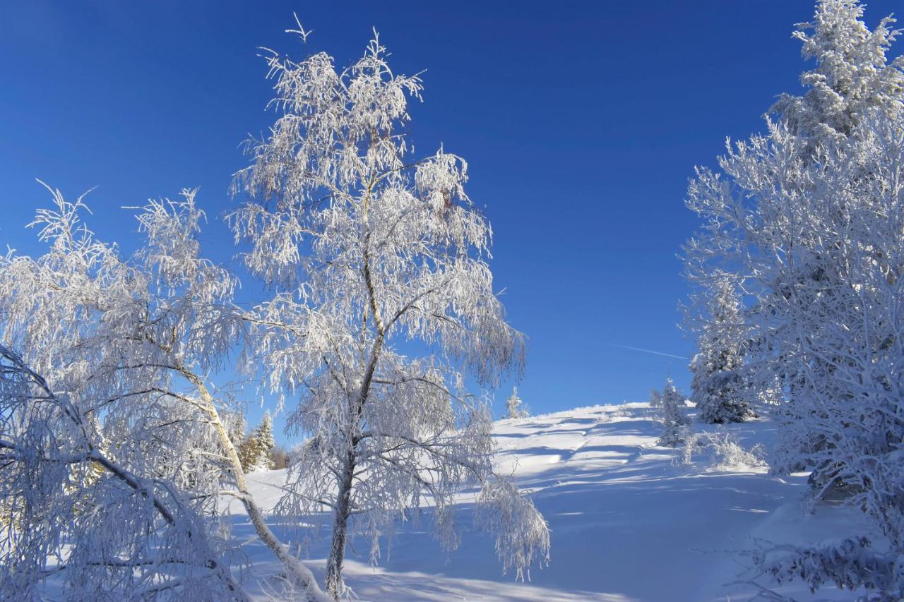 Agroturystyka Chmiel Sromowce Wyzne Buitenkant foto