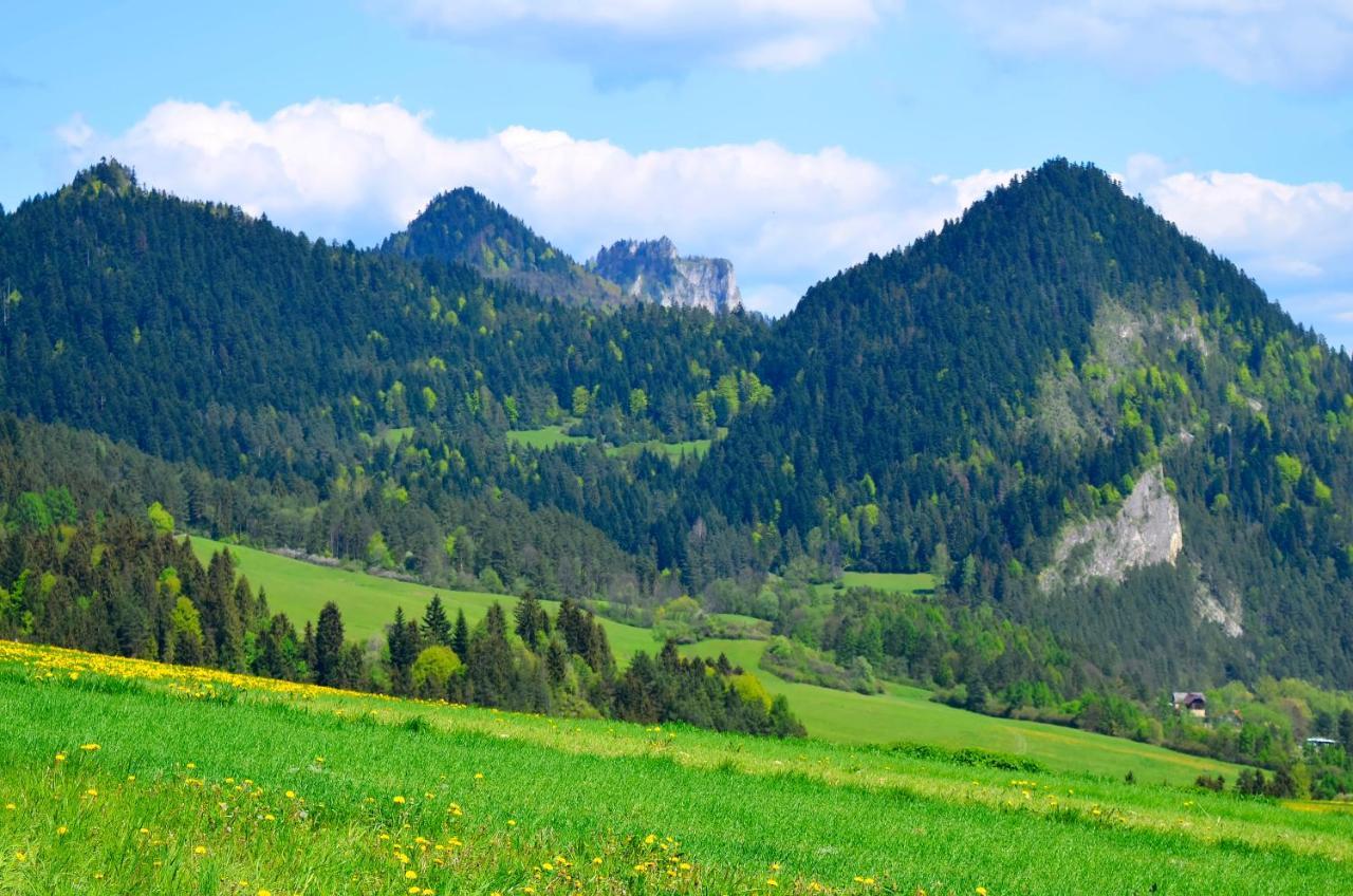 Agroturystyka Chmiel Sromowce Wyzne Buitenkant foto